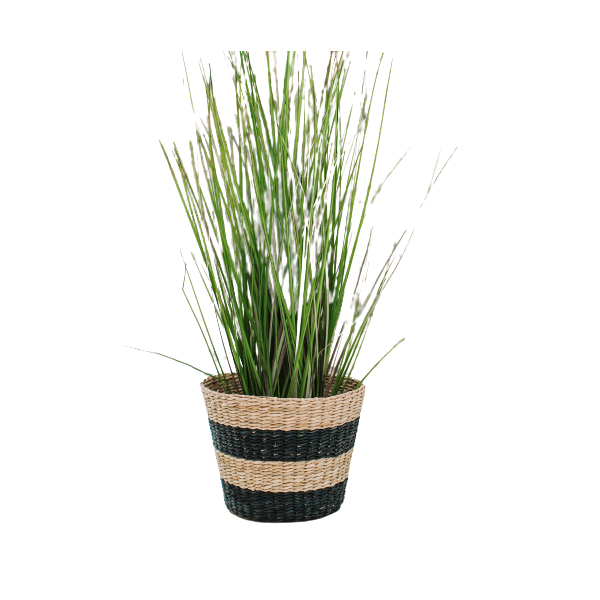 Seagrass planter